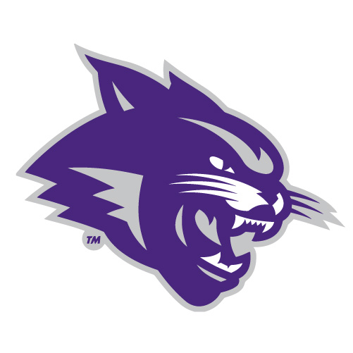 Abilene Christian Wildcats 2013-Pres Partial Iron-on Stickers (Heat Transfers)NO.3680